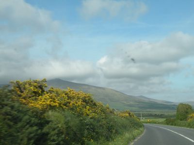 20160516_279.JPG