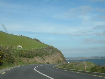20160516_288.JPG