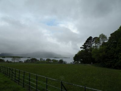 20160517_041.JPG