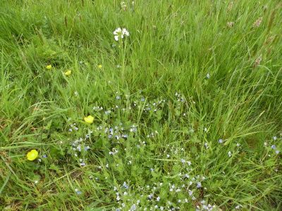 20160517_045.JPG