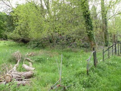 20160517_046.JPG