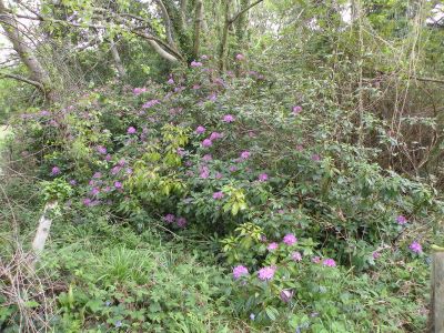 20160517_047.JPG