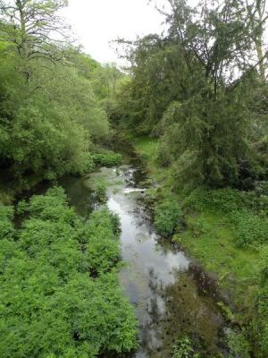 20160517_049.JPG