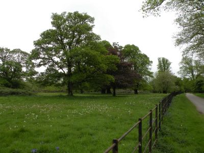 20160517_051.JPG