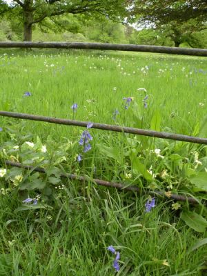 20160517_053.JPG