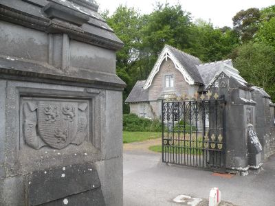 20160517_066.JPG
