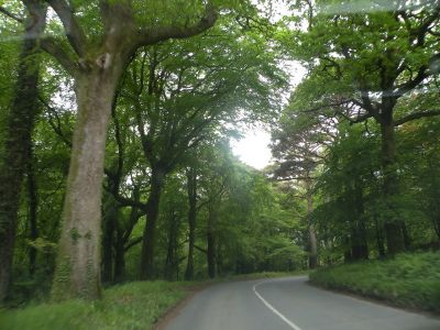 20160517_069.JPG
