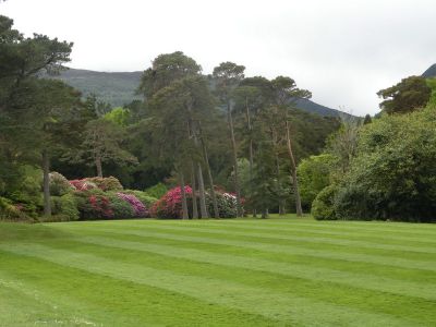 20160517_089.JPG