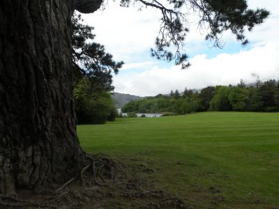 20160517_094.JPG