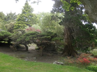 20160517_097.JPG