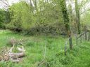 20160517_046.JPG