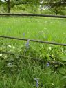 20160517_053.JPG