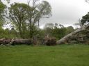 20160517_054.JPG