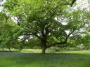 20160517_058.JPG