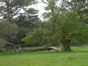 20160517_059.JPG