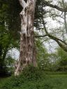 20160517_064.JPG