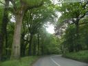 20160517_069.JPG