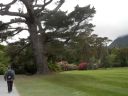 20160517_093.JPG