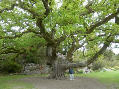 20160517_103.JPG