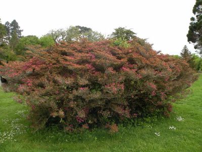 20160517_104.JPG