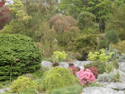 20160517_107.JPG