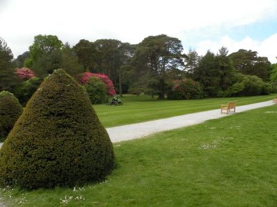 20160517_108.JPG