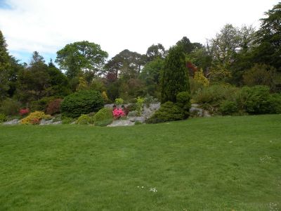 20160517_110.JPG