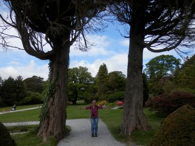 20160517_113.JPG