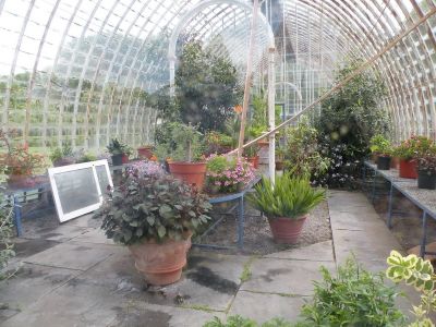 20160517_121.JPG