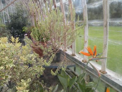 20160517_122.JPG