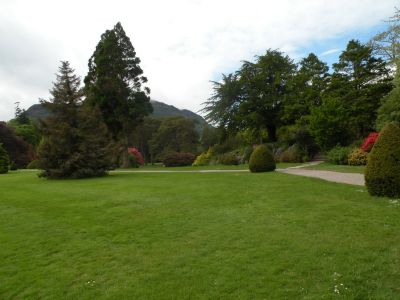 20160517_123.JPG