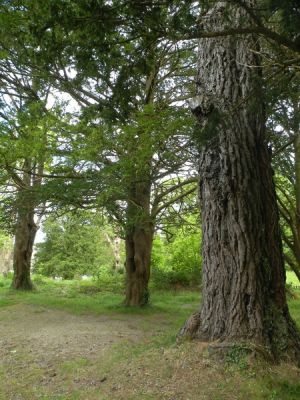 20160517_125.JPG