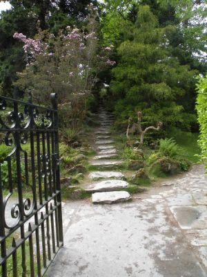 20160517_127.JPG
