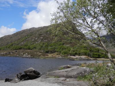 20160517_143.JPG