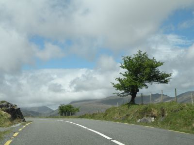 20160517_155.JPG