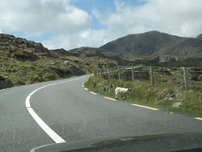 20160517_156.JPG