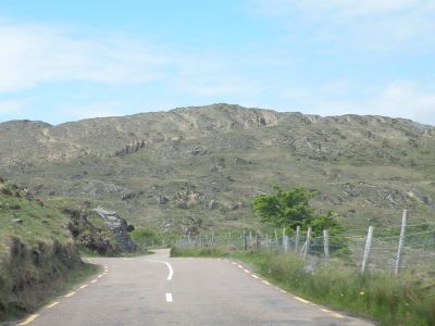 20160517_164.JPG