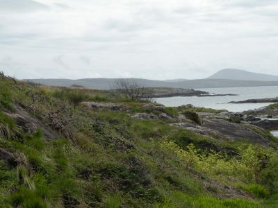 20160517_187.JPG