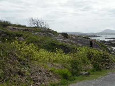 20160517_193.JPG