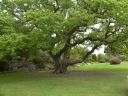 20160517_101.JPG