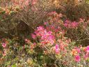 20160517_105.JPG