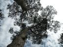 20160517_128.JPG