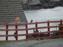 20160517_197.JPG