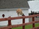 20160517_198.JPG