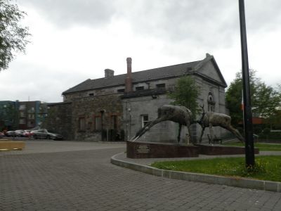 20160517_223.JPG