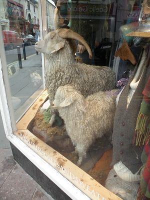 20160517_232.JPG