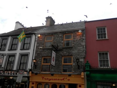 20160517_236.JPG