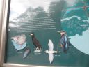20160518_095.JPG