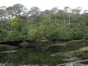 20160518_100.JPG