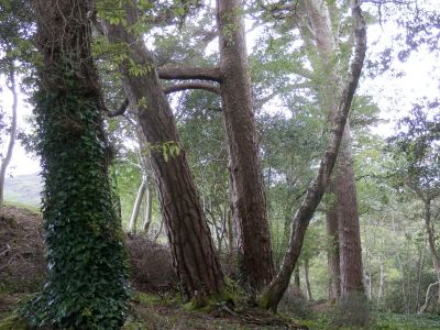 20160518_114.JPG